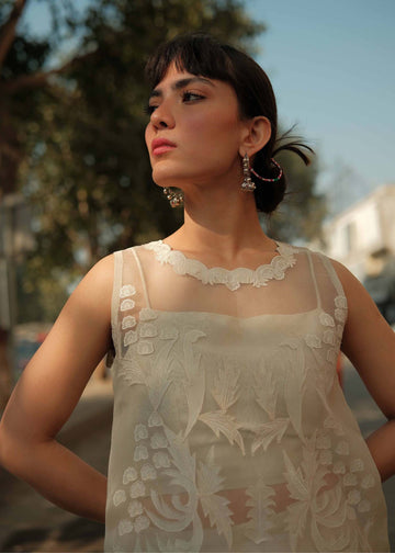 Ivory Dream